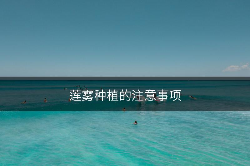 莲雾种植的注意事项(图1)