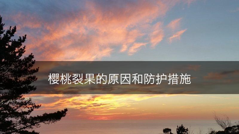 樱桃裂果的原因和防护措施(图1)