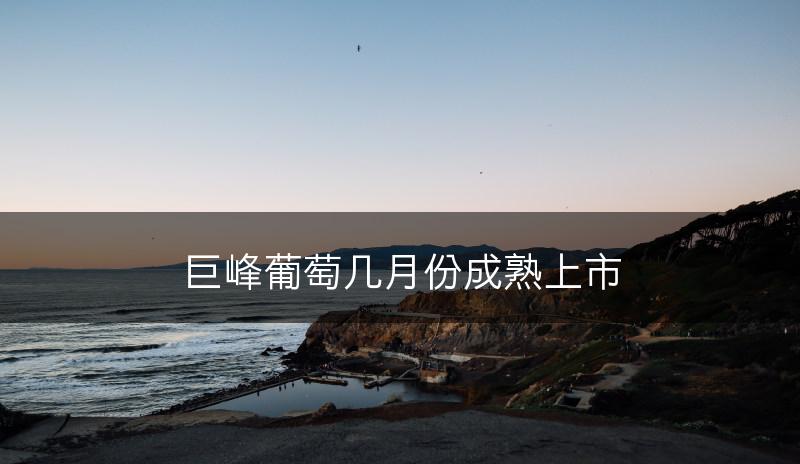 巨峰葡萄几月份成熟上市(图1)
