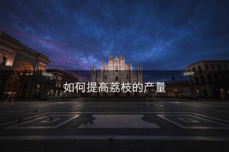 如何提高荔枝的产量(图1)