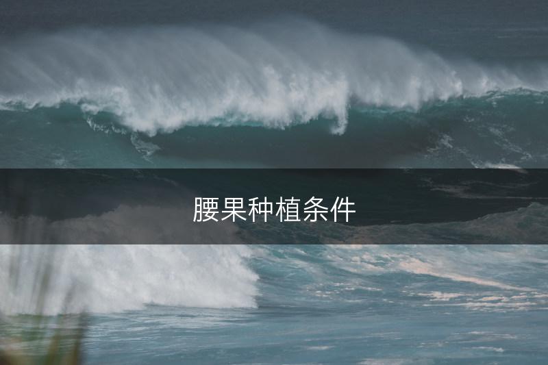 腰果种植条件(图1)