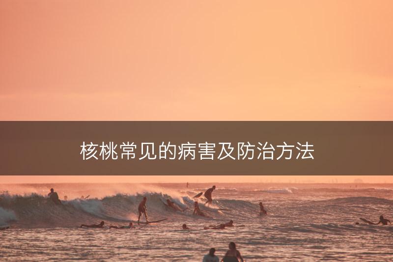 核桃常见的病害及防治方法(图1)