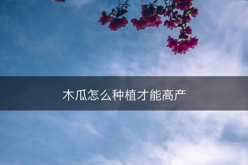 木瓜怎么种植才能高产(图1)