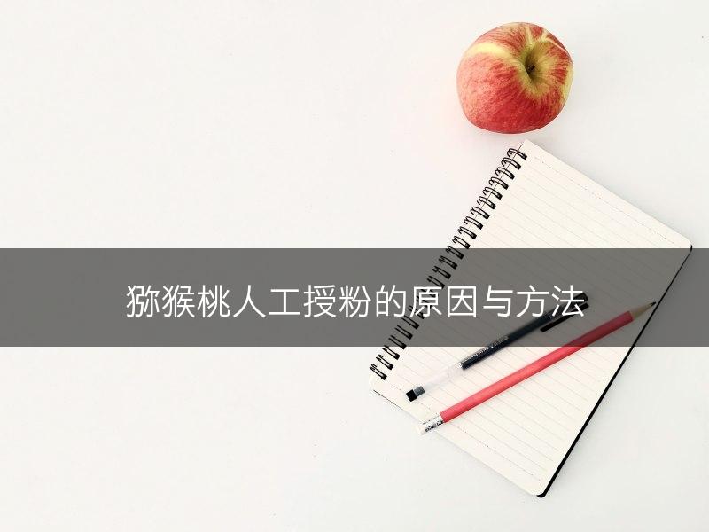 猕猴桃人工授粉的原因与方法(图1)