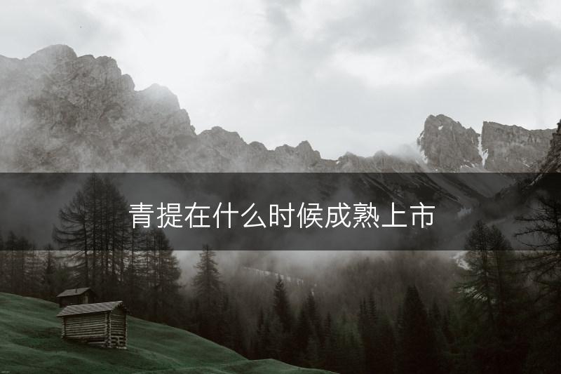 青提在什么时候成熟上市(图1)