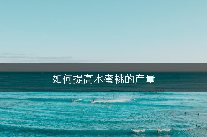 如何提高水蜜桃的产量(图1)