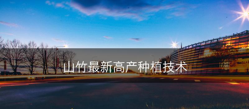 山竹最新高产种植技术(图1)