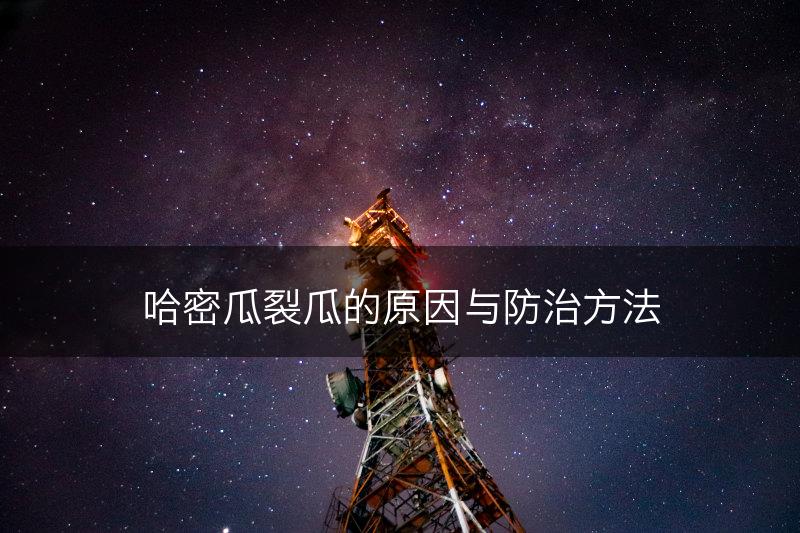 哈密瓜裂瓜的原因与防治方法(图1)