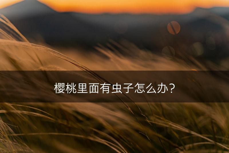 樱桃里面有虫子怎么办？(图1)