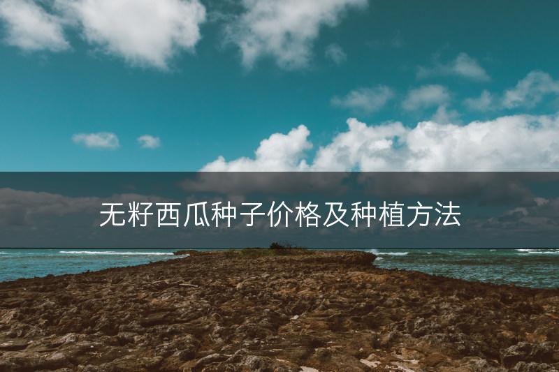 无籽西瓜种子价格及种植方法(图1)
