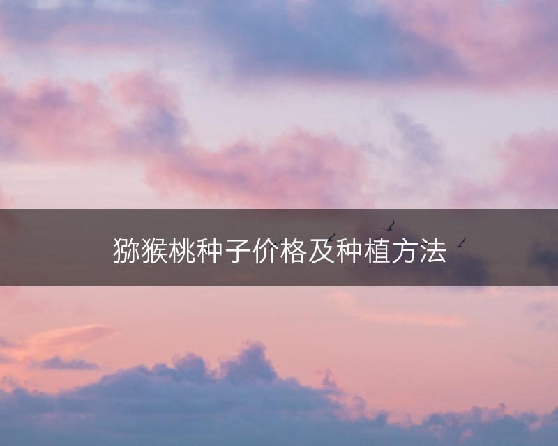 猕猴桃种子价格及种植方法(图1)