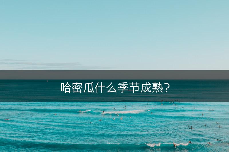 哈密瓜什么季节成熟？(图1)