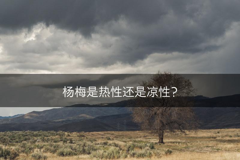杨梅是热性还是凉性？(图1)