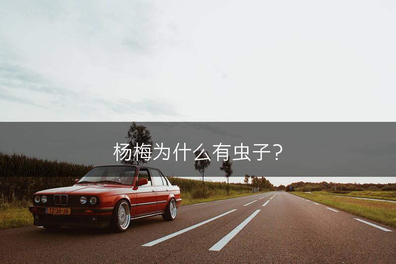 杨梅为什么有虫子？(图1)