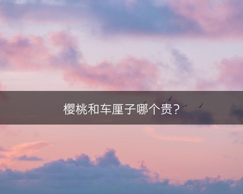 樱桃和车厘子哪个贵？(图1)