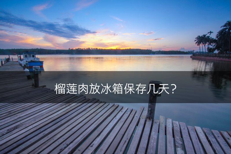 榴莲肉放冰箱保存几天？(图1)