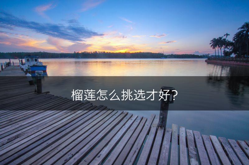 榴莲怎么挑选才好？(图1)