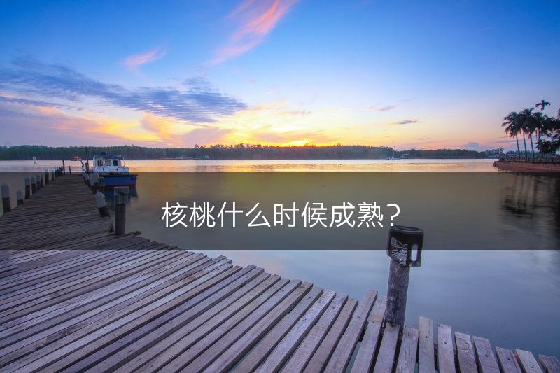 核桃什么时候成熟？(图1)