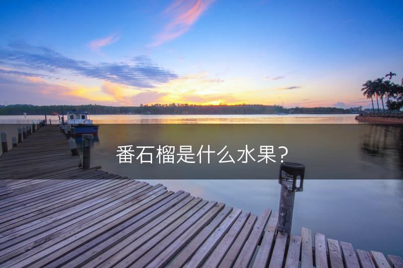番石榴是什么水果？(图1)