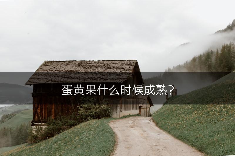 蛋黄果什么时候成熟？(图1)