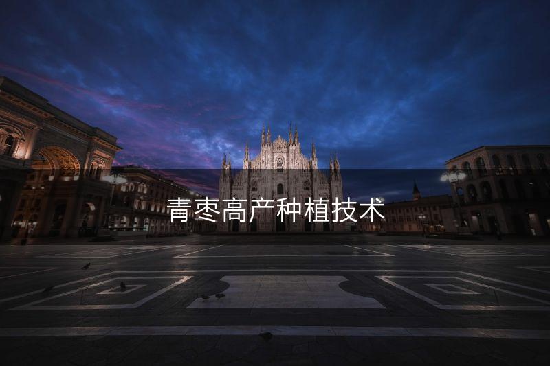 青枣高产种植技术(图1)