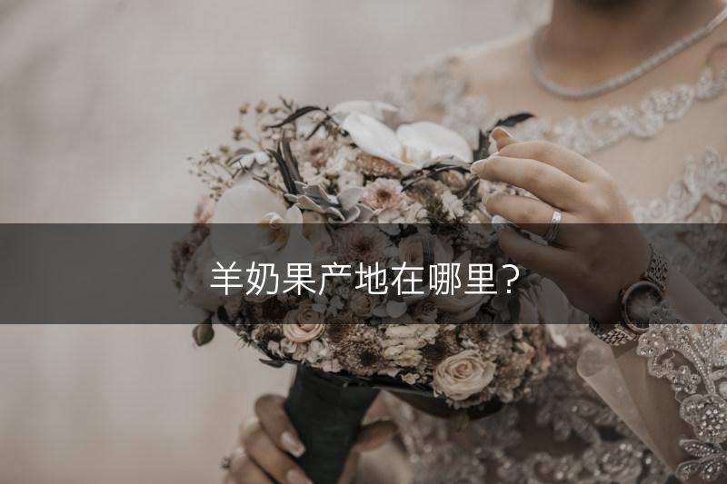 羊奶果产地在哪里？(图1)