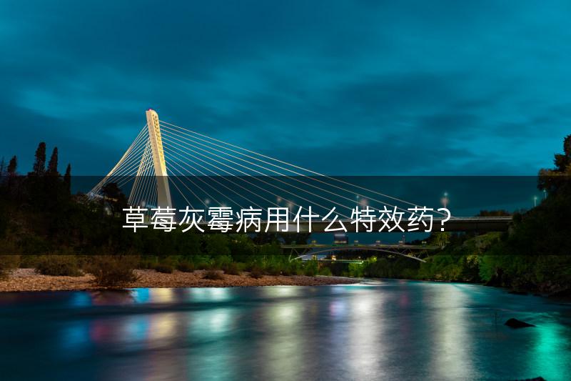 草莓灰霉病用什么特效药？(图1)
