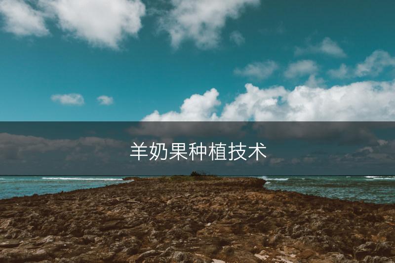 羊奶果种植技术(图1)