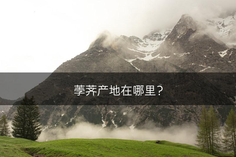 荸荠产地在哪里？(图1)