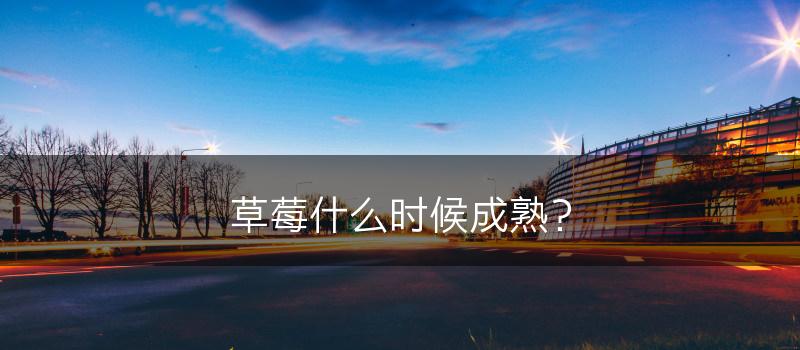 草莓什么时候成熟？(图1)