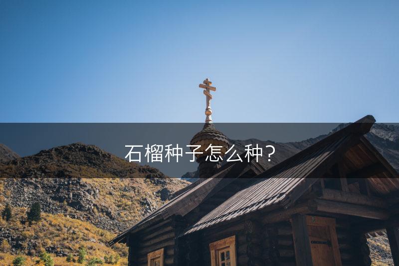 石榴种子怎么种？(图1)
