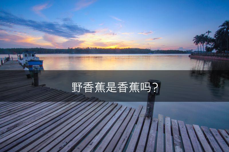 野香蕉是香蕉吗？(图1)