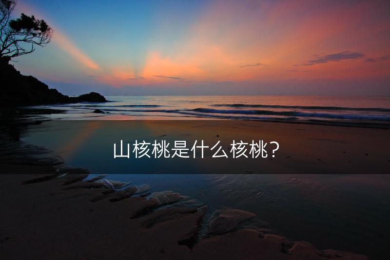 山核桃是什么核桃？(图1)
