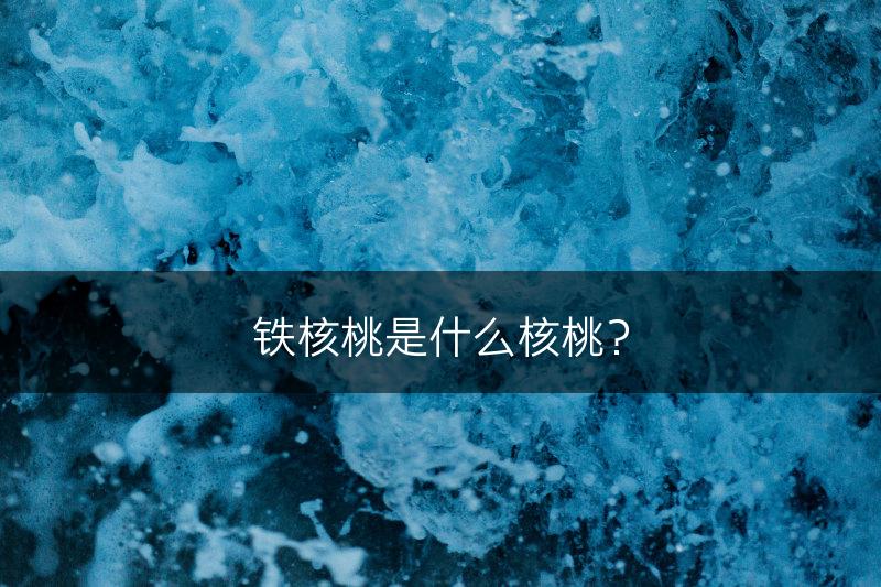 铁核桃是什么核桃？(图1)