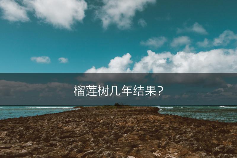 榴莲树几年结果？(图1)