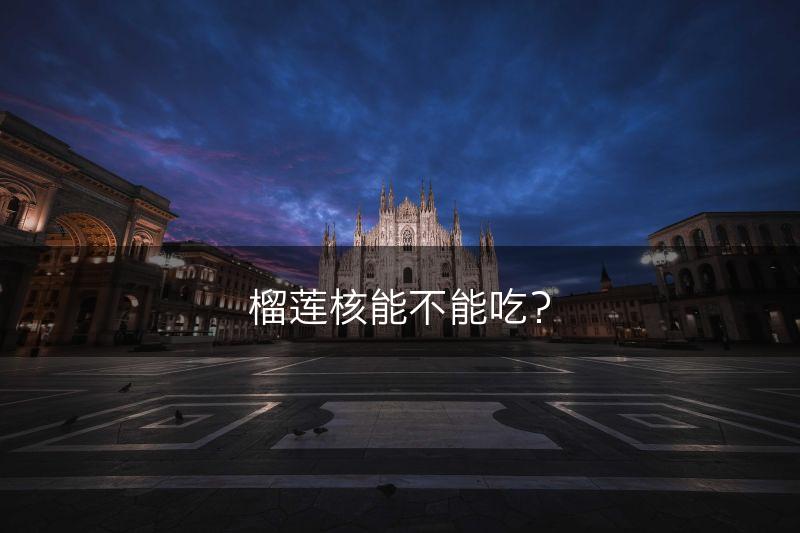 榴莲核能不能吃？(图1)