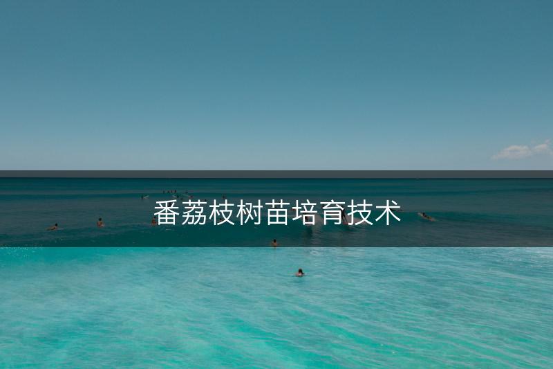 番荔枝树苗培育技术(图1)