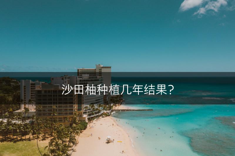 沙田柚种植几年结果？(图1)