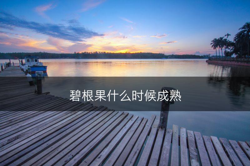 碧根果什么时候成熟(图1)