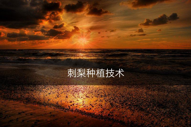 刺梨种植技术(图1)
