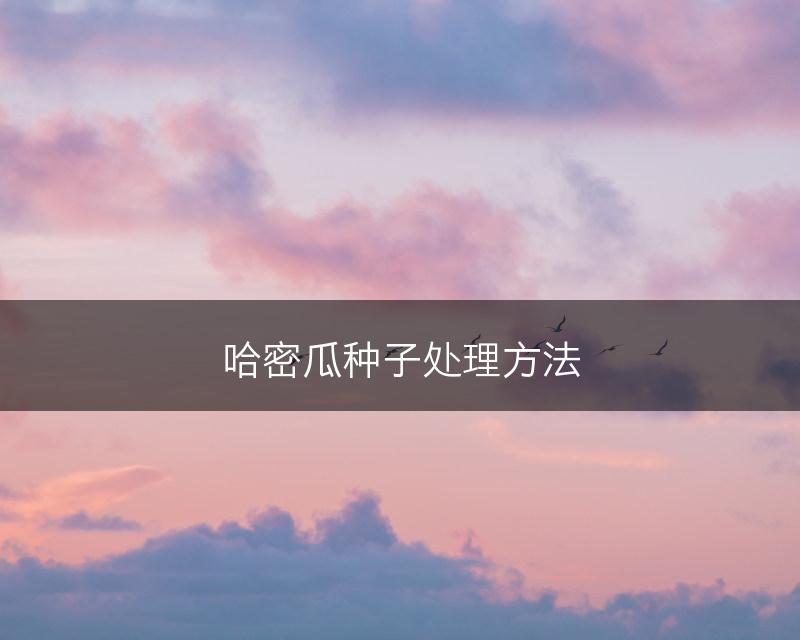 哈密瓜种子处理方法(图1)