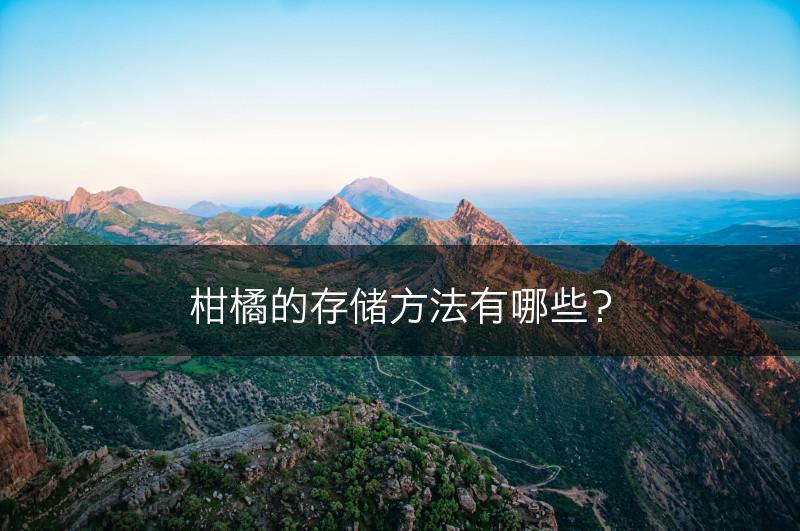 柑橘的存储方法有哪些？(图1)