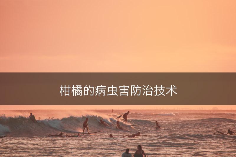 柑橘的病虫害防治技术(图1)