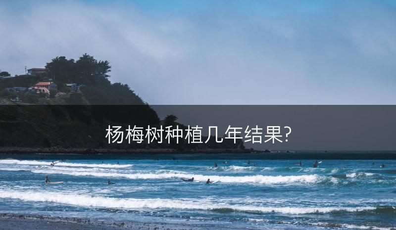 杨梅树种植几年结果?(图1)