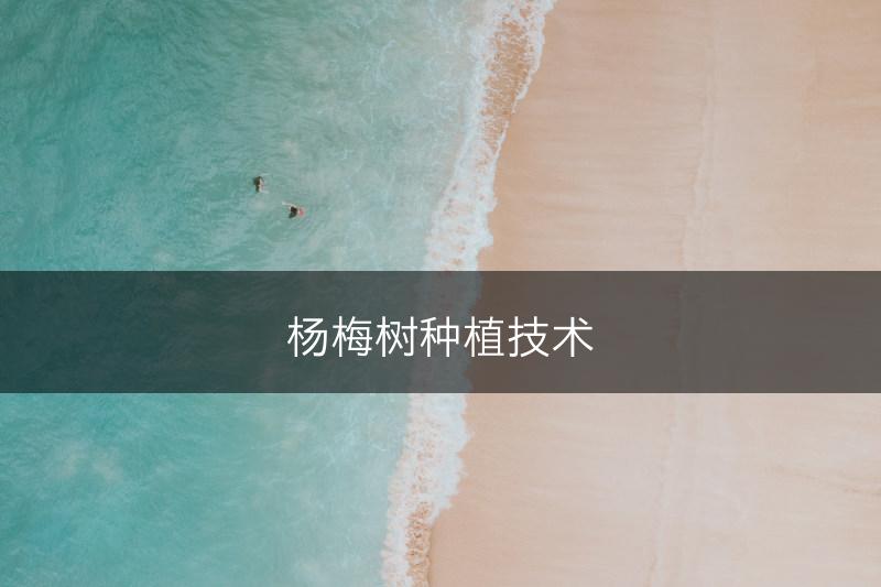 杨梅树种植技术(图1)