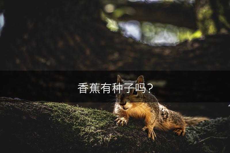 香蕉有种子吗？(图1)