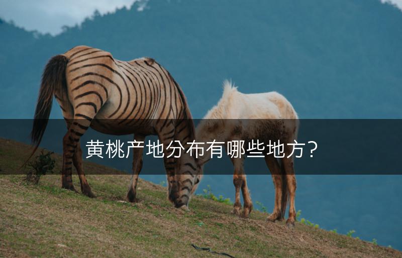 黄桃产地分布有哪些地方？(图1)