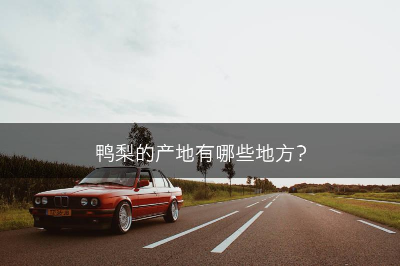 鸭梨的产地有哪些地方？(图1)