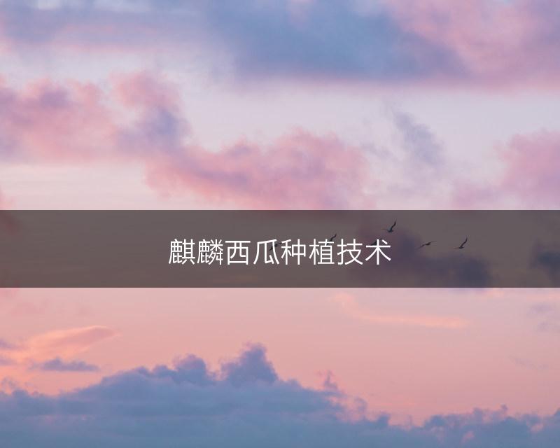 麒麟西瓜种植技术(图1)