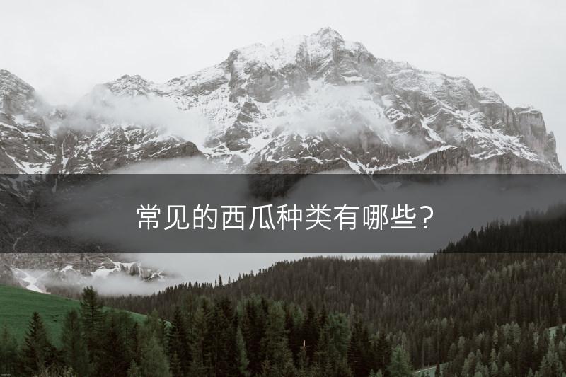常见的西瓜种类有哪些？(图1)